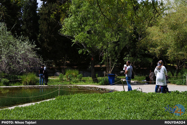 باغ گیاه شناسی_ تاجداری
