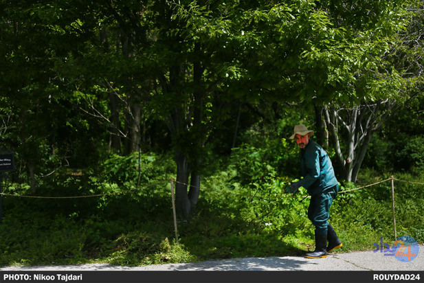 باغ گیاه شناسی_ تاجداری