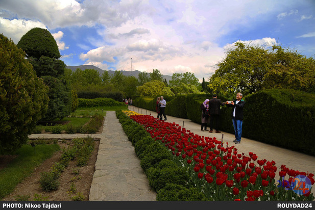باغ گیاه شناسی_ تاجداری
