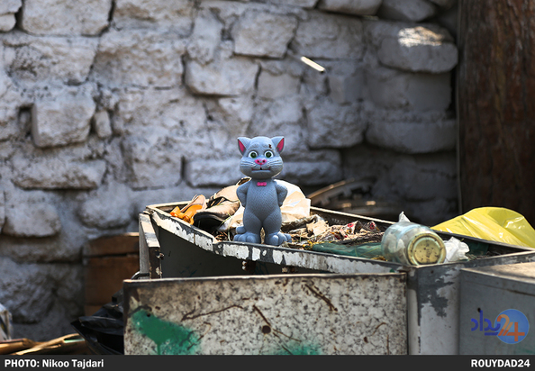 زباله گردی_نیکو تاجداری