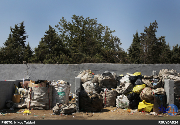زباله گردی_نیکو تاجداری