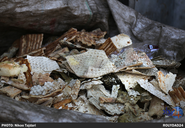 زباله گردی_نیکو تاجداری