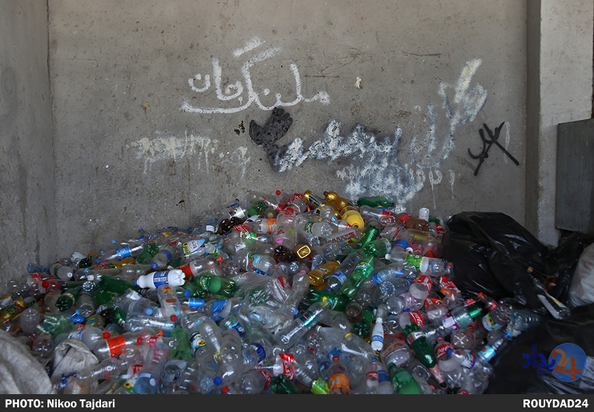 زباله گردی_نیکو تاجداری