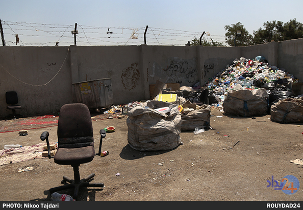 زباله گردی_نیکو تاجداری