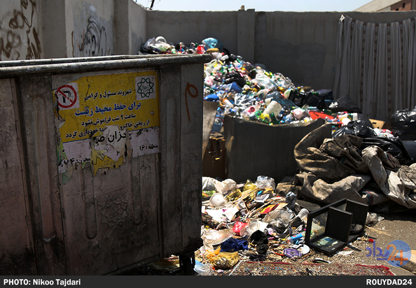 زباله گردی_نیکو تاجداری