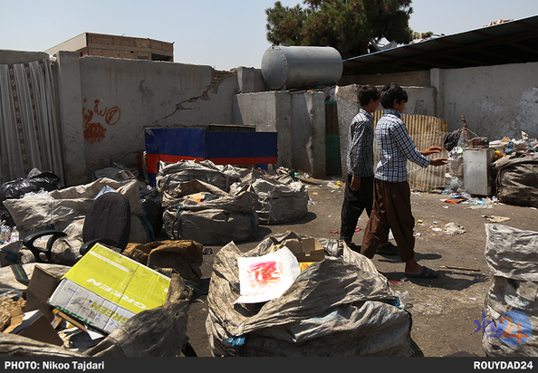 زباله گردی_نیکو تاجداری