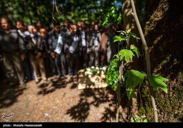 پدر طبیعت ایران