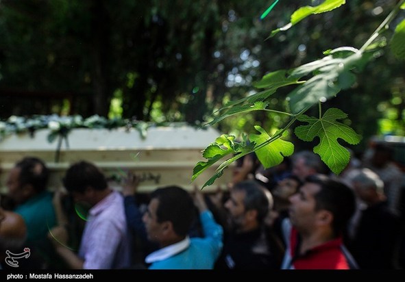 پدر طبیعت ایران