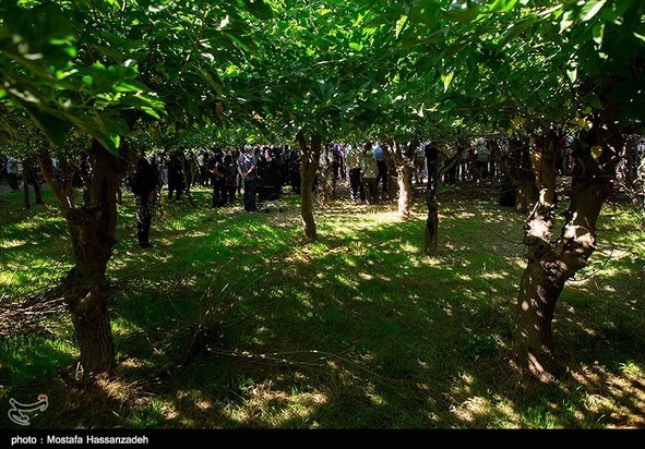 پدر طبیعت ایران