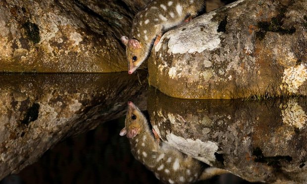 مسابقه عکاسی