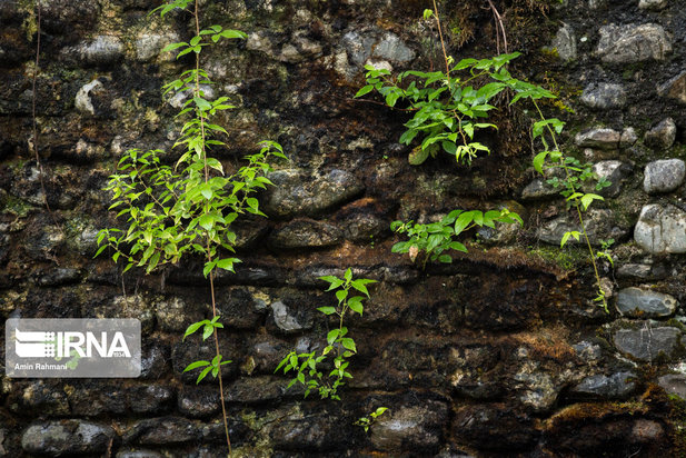 کاروانسرای تی تی