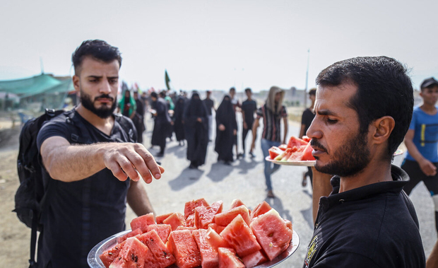 پیاده روی اربعین