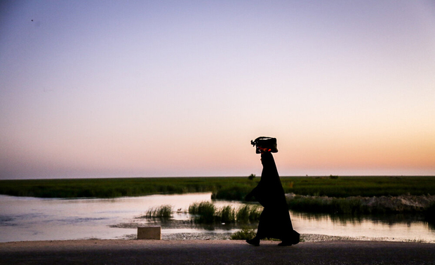 پیاده روی اربعین