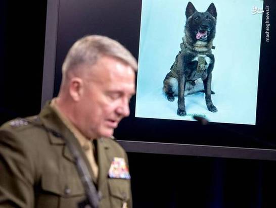 ابوبکر بغدادی