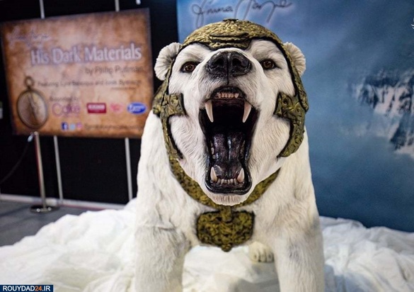 نمایشگاه کیک 2