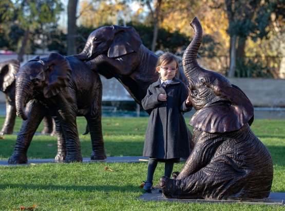 برتریت تصاویر روز چهارشنبه