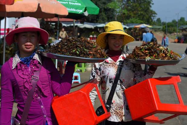 برتریت تصاویر روز چهارشنبه