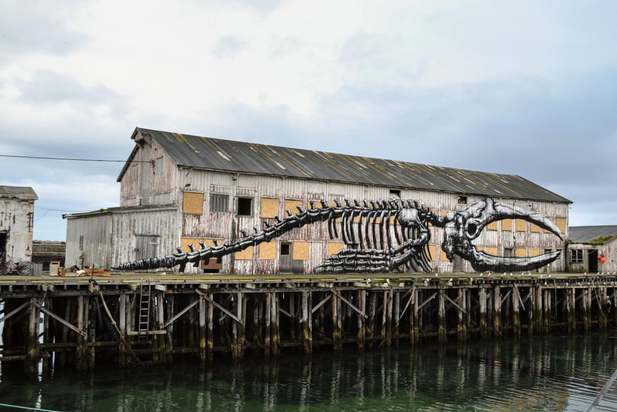 دیوار نگارهای هنرمند بلژیکی