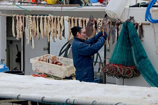 عکاسی در گرینلند