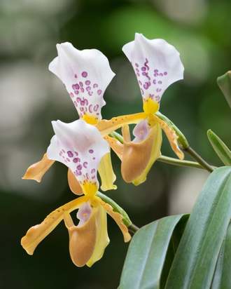 تصاویری از جهان حیوانات