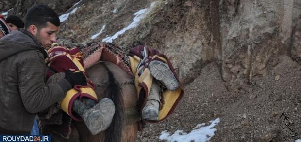 یادر از کولبران روبوسکی