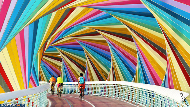 بهترین تصاویر 2019