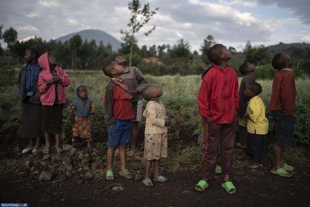 برترین تصاویر 2019