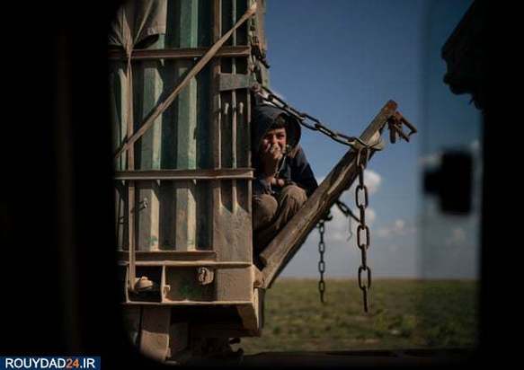 برترین تصاویر 2019