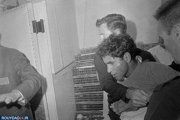 ترور رابرت اف کندی 