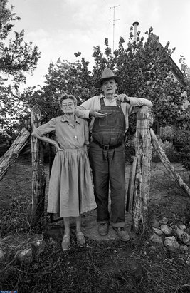 مروری بر آثار فرد بالدوین