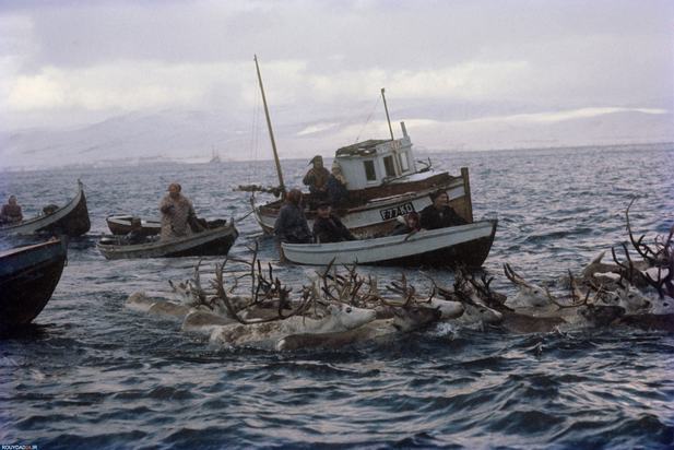 مروری بر آثار فرد بالدوین