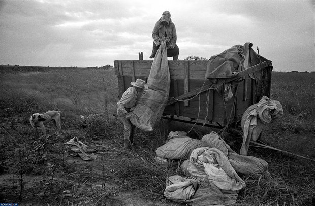 مروری بر آثار فرد بالدوین