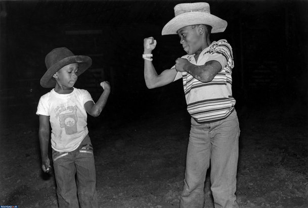 مروری بر آثار فرد بالدوین