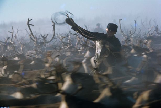 مروری بر آثار فرد بالدوین