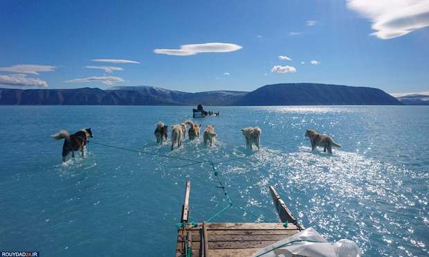 مهمترین تصاویر دهه 19 تا 20