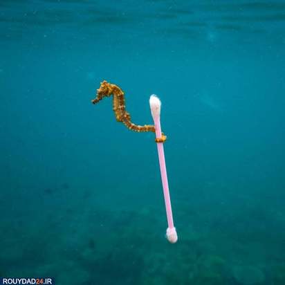 مهمترین تصاویر دهه 19 تا 20