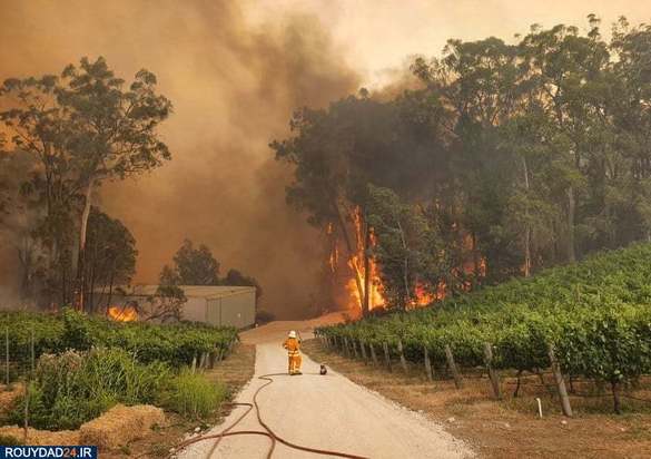 بهترین تصاویر هفته 