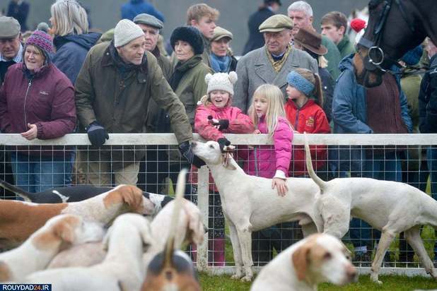 بهترین تصاویر هفته 