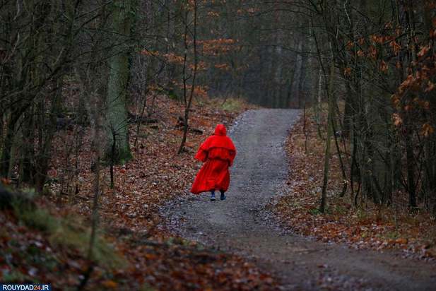 بهترین تصاویر هفته 