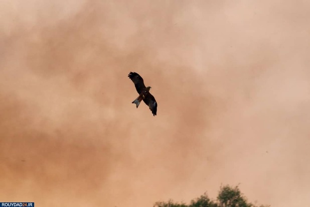 آتشسوزی استرالیا