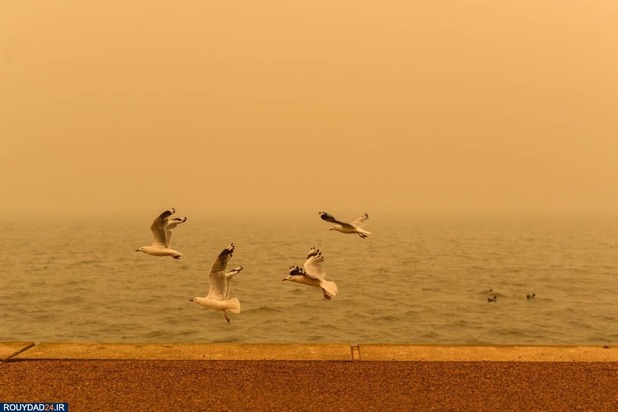 آتشسوزی استرالیا