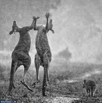 آتشسوزی استرالیا