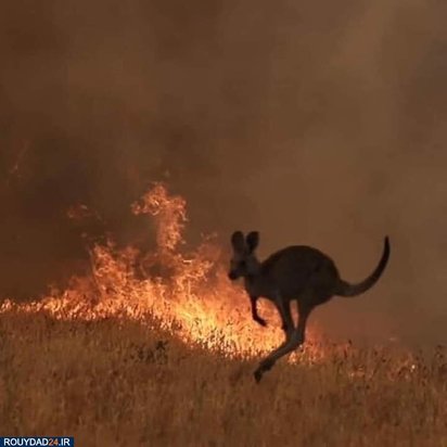 آتشسوزی استرالیا