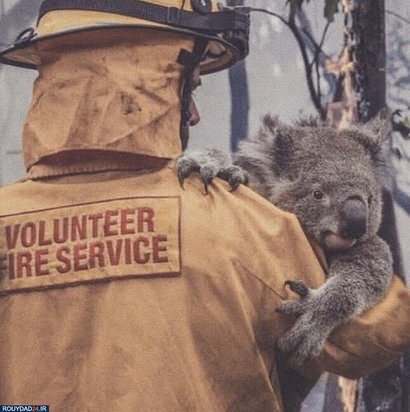 آتشسوزی استرالیا