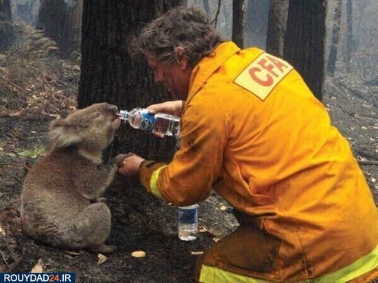 آتشسوزی استرالیا