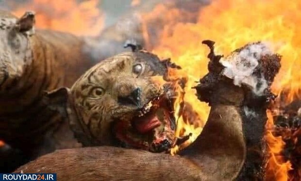 آتشسوزی استرالیا