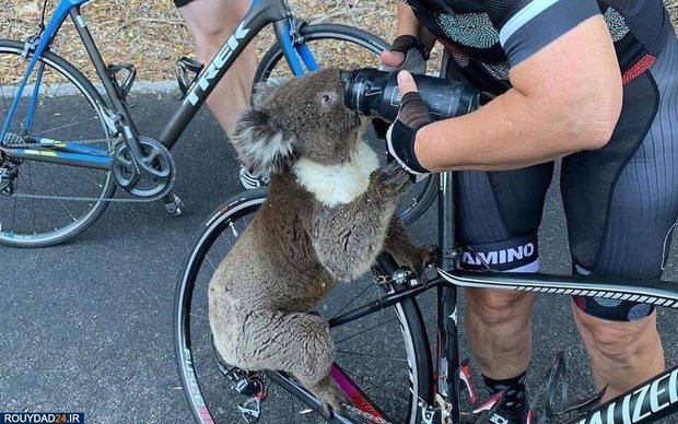 آتشسوزی استرالیا