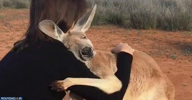 آتشسوزی استرالیا