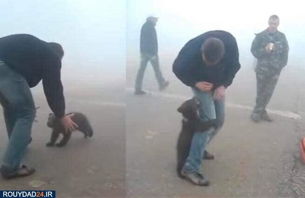 آتشسوزی استرالیا