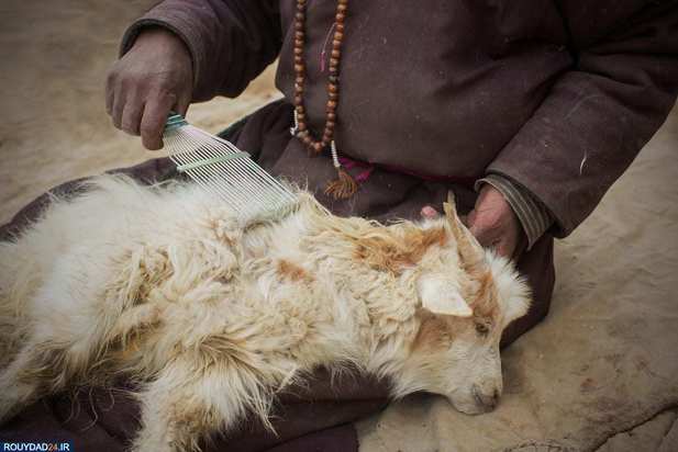 تصاویری از فلات تبت ، قطب سوم جهان 